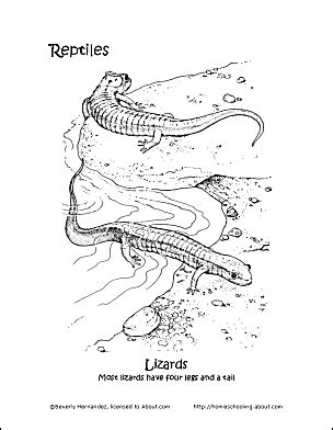 reptiles coloring book ten  pages