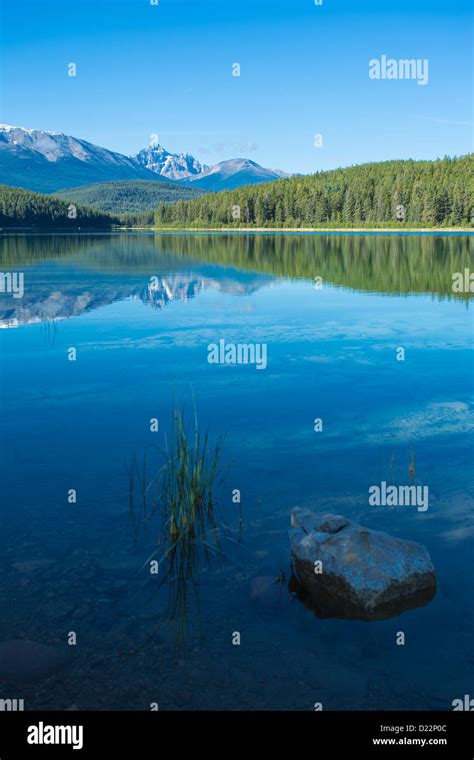 Patricia Lake In Jasper National Park In Alberta Canada Stock Photo Alamy
