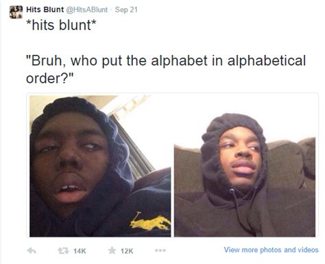 Stoner Questions High Thoughts Meme The Quotes