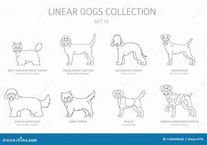 Simple Line Dogs Collection Isolated On White Dog Breeds Stock Vector