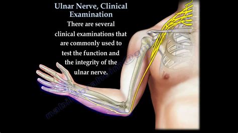 Ulnar Nerve Clinical Examination Everything You Need To Know Dr
