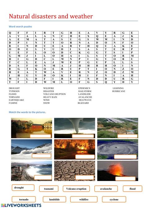Natural Disasters And Weather Interactive Worksheet Natural