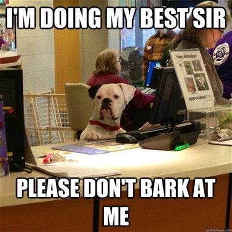 Just A Day At The Office Funny Animals Animal Captions Funny Pictures