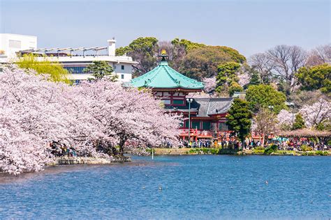 Tokyo Day Tour Attractions And Things To Do In Ueno