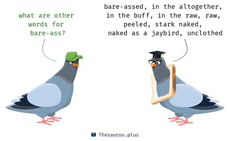 9 Bare Ass Synonyms Similar Words For Bare Ass