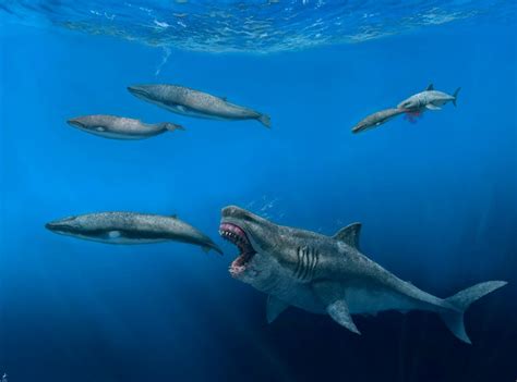 Un Enorme Tiburón Megalodón Antiguo De 50 Metros Puede Comerse Una