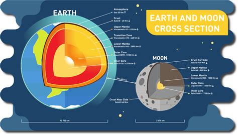 The Earth And Moon Cross Section