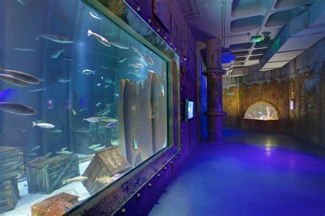 Diving Deep To Manage Waste With Bristol Aquarium Simply Washrooms Ltd
