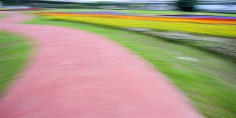 Abstract Motion Blur Colorful Flowers On The Field Stock Image Image