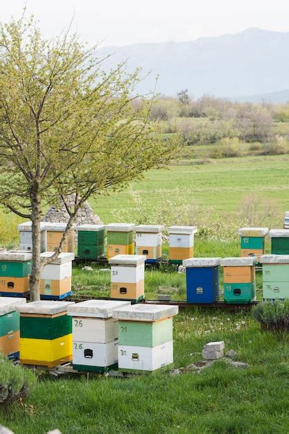 Free Photo Honey Farm Landscape