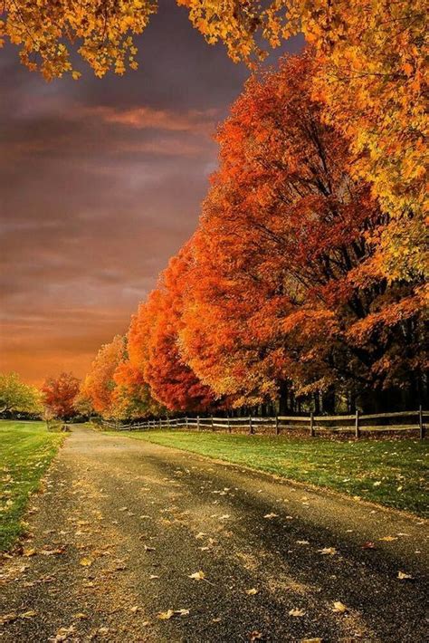 Nice Autumn Autumn Scenery Scenery Beautiful Landscapes