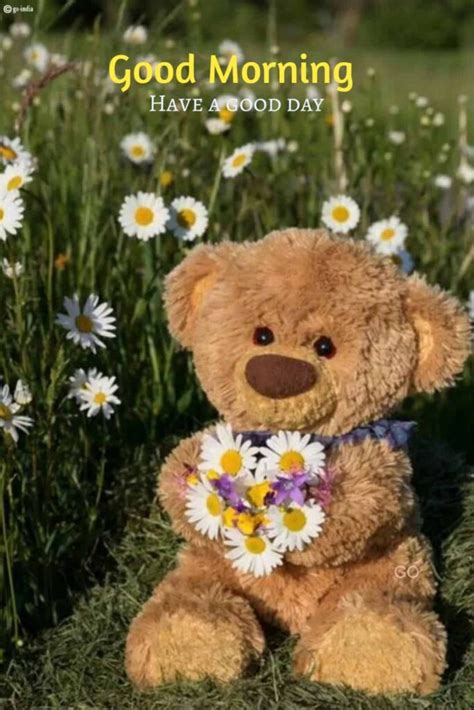 100 Cute Good Morning Teddy Bear Images Latest Update