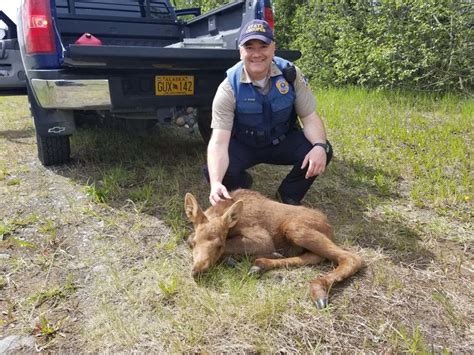 Longtime Trooper Ready For New Role As Director Of Alaska Wildlife