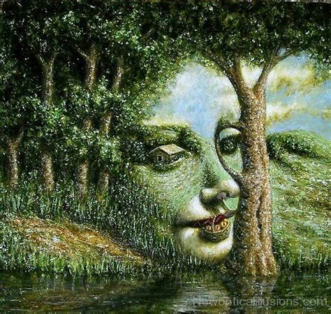 Faces Of Nature Optical Illusions Pictures Optical Illusion Paintings