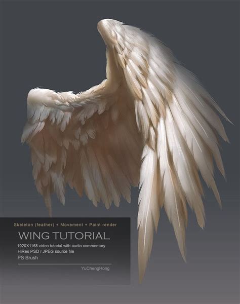 For People Who May Interested How To Draw And Paint Bird Wings If You