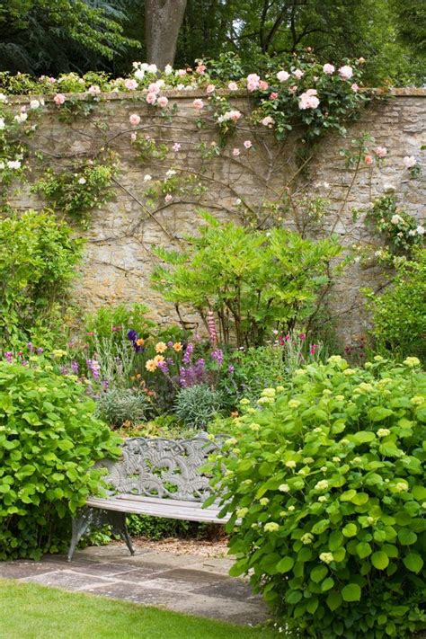 Ultimate Guide To Growing Roses What To Plant Where To Plant It And