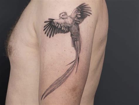 top 83 best quetzal tattoo ideas [2020 inspiration guide] laptrinhx news