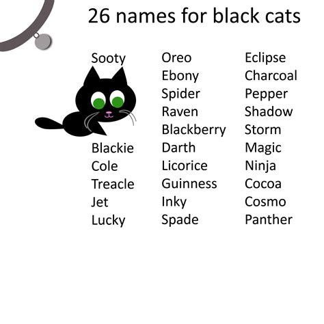 Cat Care Tips Black Cat Names For Your Your Black Cat Names For