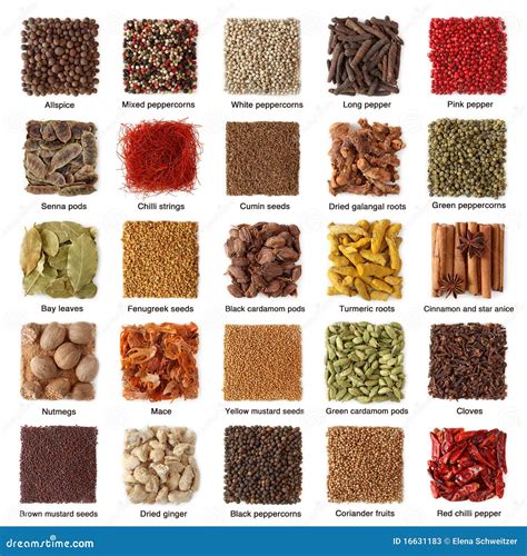 Indian Spices Collection Royalty Free Stock Photography Cartoondealer