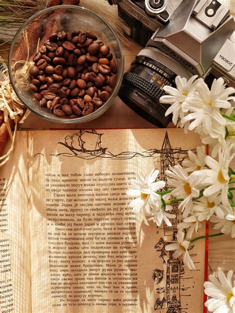 If you've ever hosted thanksgiving dinner, you know it's a lot of work. Open book near retro photo camera and coffee beans indoors ...