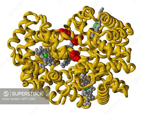 Computer Generated Three Dimensional Model Of Glycosylated Or Glycated