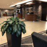 Vancouver, british columbia v6z 2r9 canada. Pacific Northwest Tourist | The Richmond BC Dumpling Trail