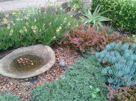 Tips To Create A Water Wise Garden