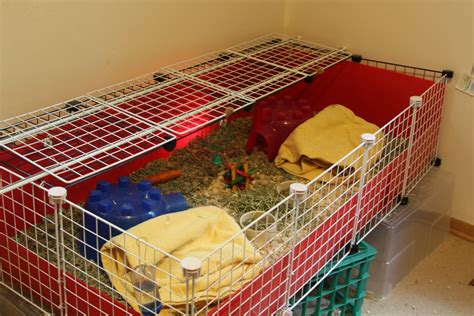 Simplest diy toys guinea pigs love. Kibbles 'N Knits: DIY Guinea Pig Cage