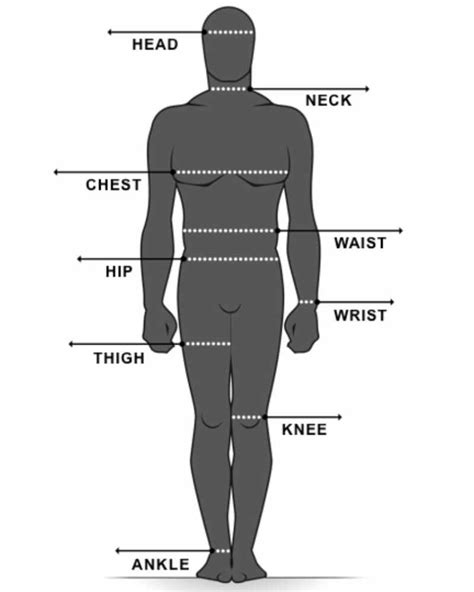 Free Body Measurement Charts Male And Female Pdf Templates