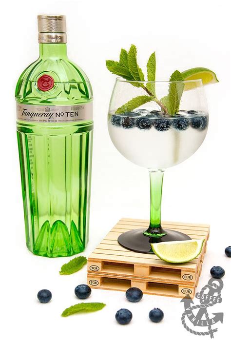 Gin And Tonic With Mint Lime And Blueberries Gin Rezepte Getränke Gin