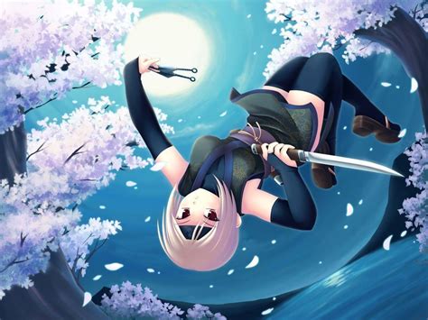 Anime Girl Ninja With Sword