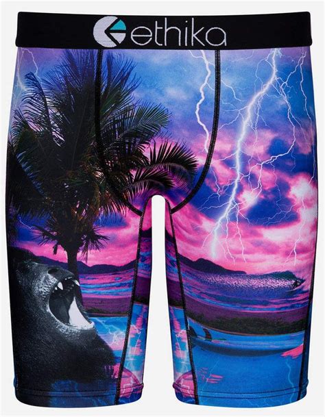 Ethika Boxers Mens Boxer Briefs Mens Boxers Swag Outfits For Girls
