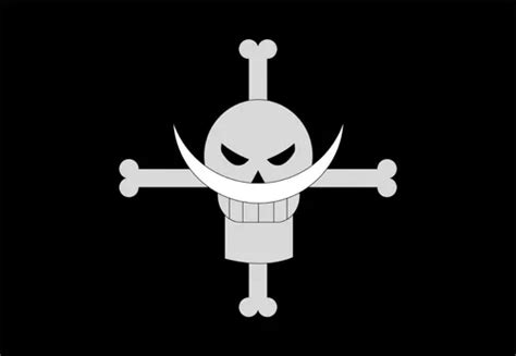 Bandeira Piratas Do Barba Branca One Piece 145x100cm Parcelamento Sem
