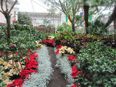 Located off highway 42, forrest is just minutes from the ymca's amenities featuring a 20,000 sf clubhouse with three pools, fitness center, and spa. Opryland Hotel - Nashville, TN (Christmas time) | Opryland ...