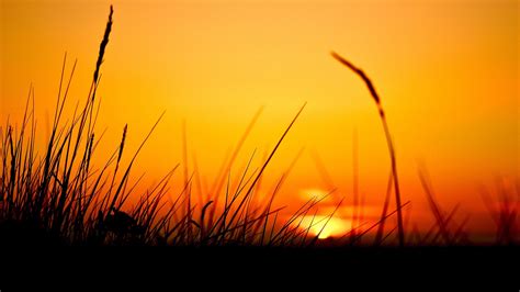 1143072 Sunlight Sunset Sea Nature Reflection Grass Sky Sunrise
