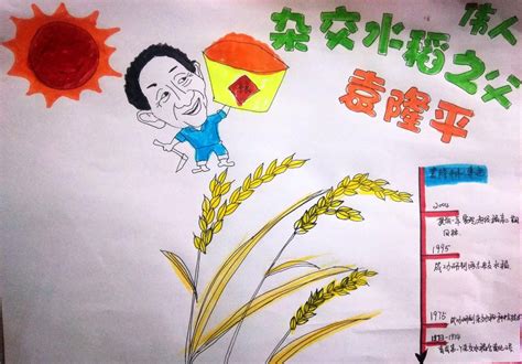 The site owner hides the web page description. 伟人杂交水稻之父袁隆平，关于袁隆平的手抄报_小学生手抄报