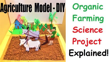 Organic Farming Explained For Science Exhibition Howtofunda Youtube