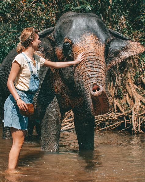 Volunteering At The Elephant Freedom Project In Sri Lanka