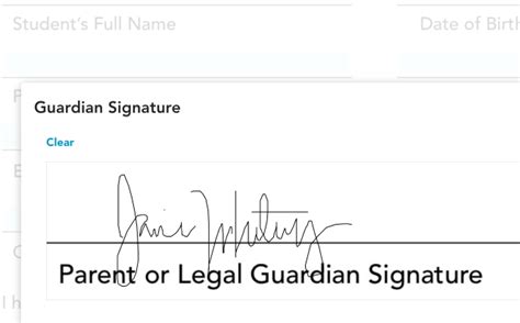 Signature Form for Electronic Signatures - Electronic Signature Form ...