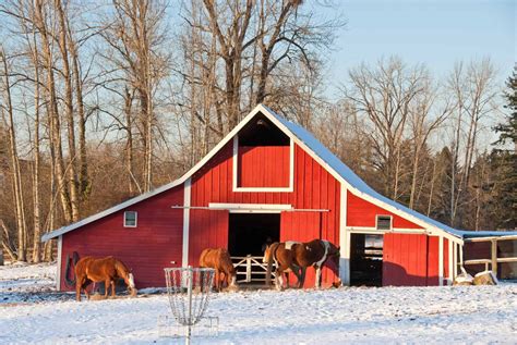 42 Best Pictures Barns And No Barns In Canada Theatrebamgl