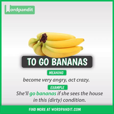 Idiom Of The Day To Go Bananas Learn English Vocabulary English