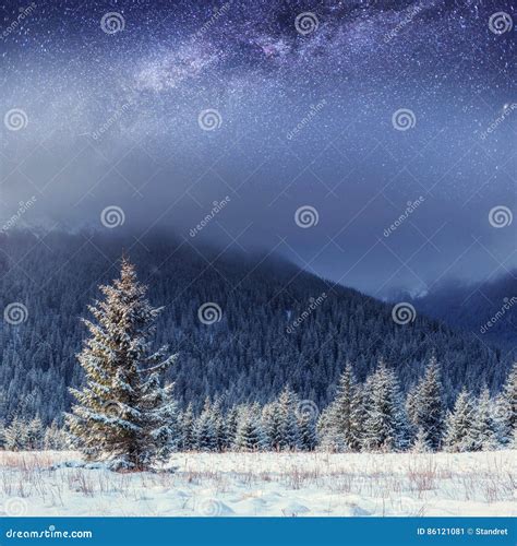 Starry Sky In Winter Snowy Night Carpathians Ukraine Europe Stock