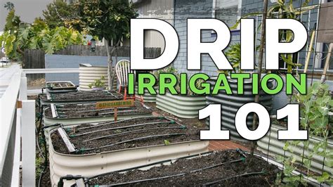 Installing A Drip Irrigation System For Raised Beds 💦 Before And After