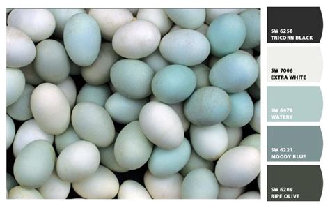 Maybe you would like to learn more about one of these? robin egg and black - Google Search | Robins egg blue ...