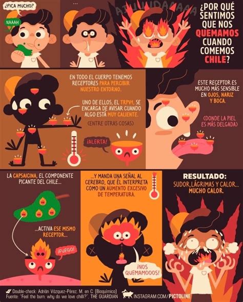 Spanish Infographics By Pictoline Artofit