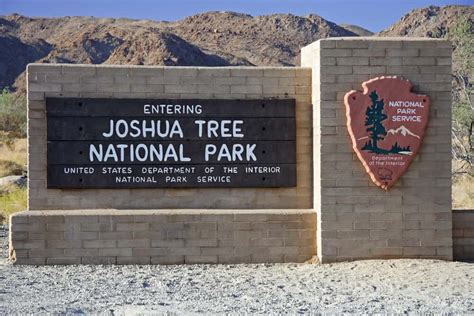 One Day In Joshua Tree National Park An Epic Day Trip Itinerary