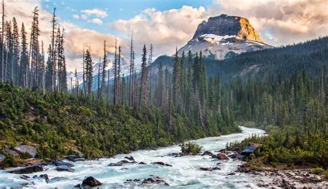 Descubre La Belleza Del Parque Nacional Yoho En Canadá Mi Viaje