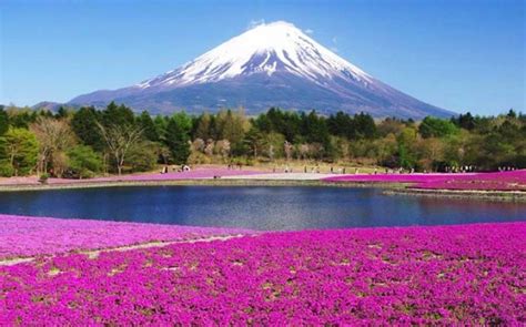 Putokaz Fuji Hakone Izu Najposjećeniji Nacionalni Park U Japanu