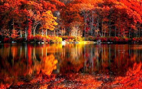 Scenic Autumn Lake Background Photo Autumn Scenery Autumn Scenes