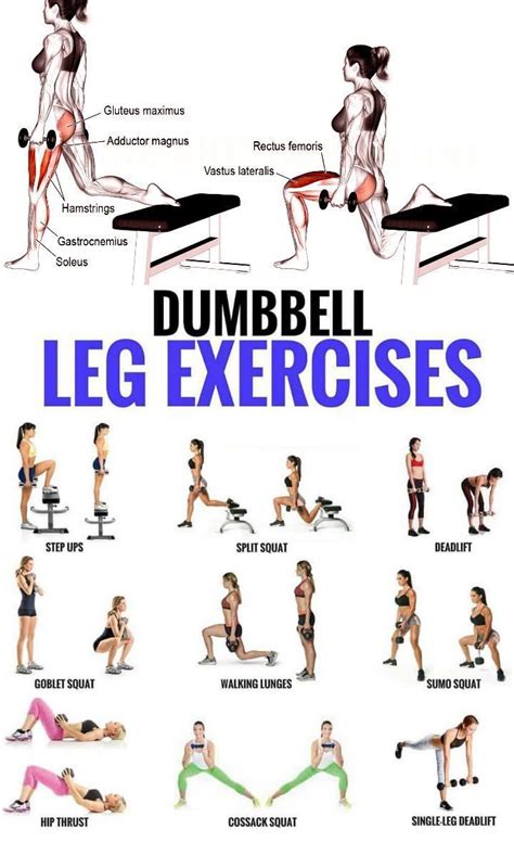 Exercise For Fitness Dumbbell Workout Lower Body Workout Dumbbell Leg Workout